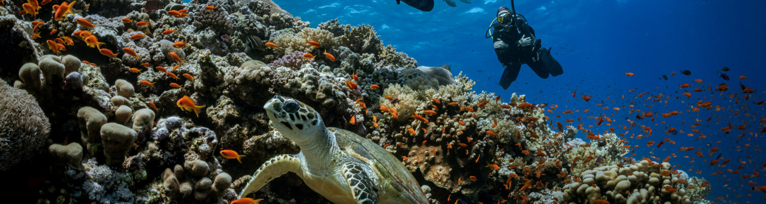 Perhentian Island Divers