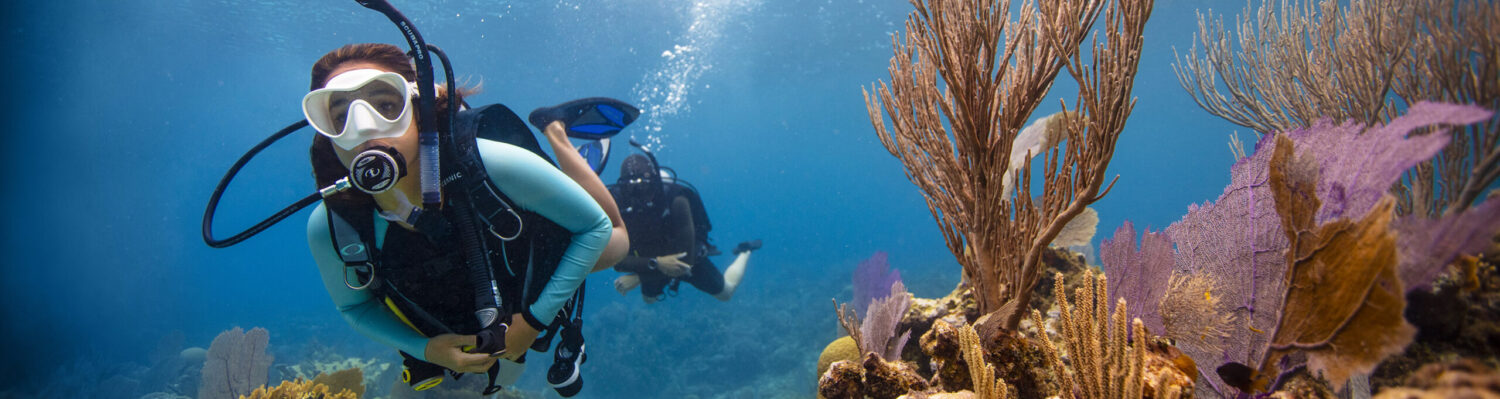 Perhentian Island Divers